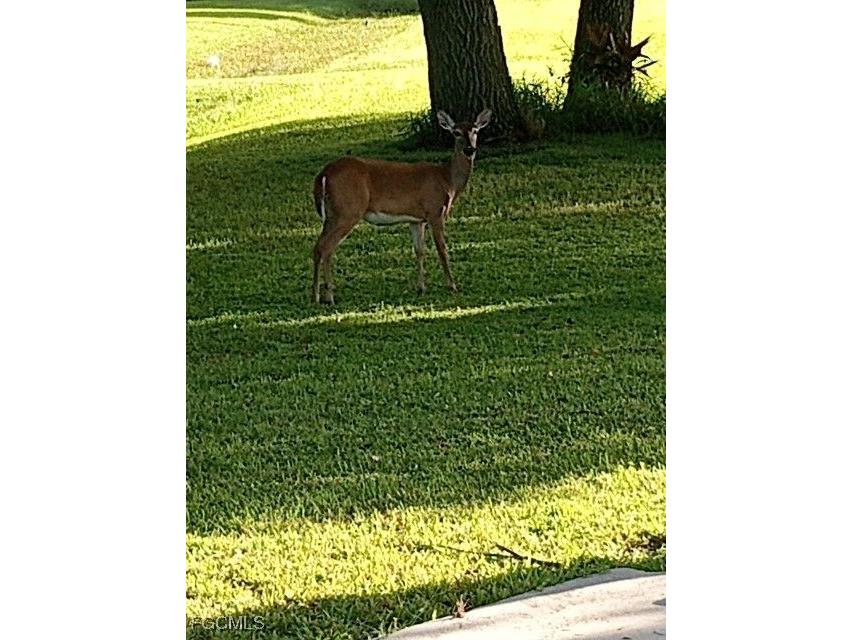 2687 Old Lakeport Road Moore Haven FL 33471 2026005931 image24