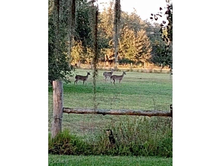 2687 Old Lakeport Road Moore Haven FL 33471 2026005931 image25