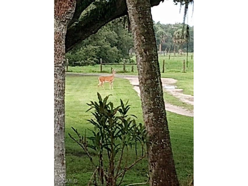 2687 Old Lakeport Road Moore Haven FL 33471 2026005931 image26