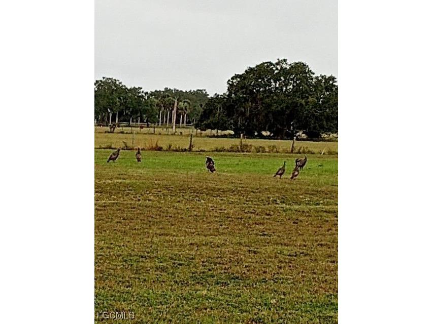 2687 Old Lakeport Road Moore Haven FL 33471 2026005931 image27