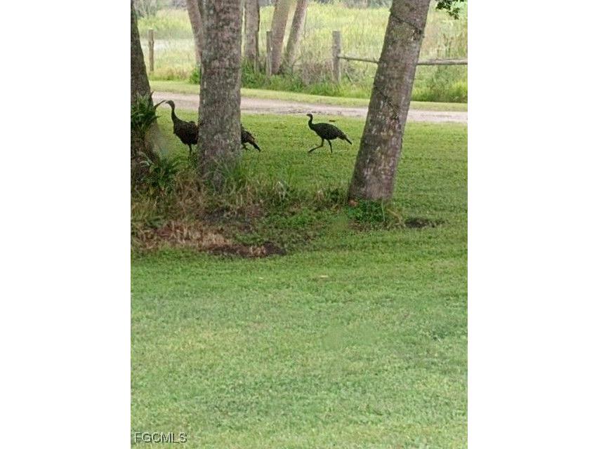 2687 Old Lakeport Road Moore Haven FL 33471 2026005931 image28