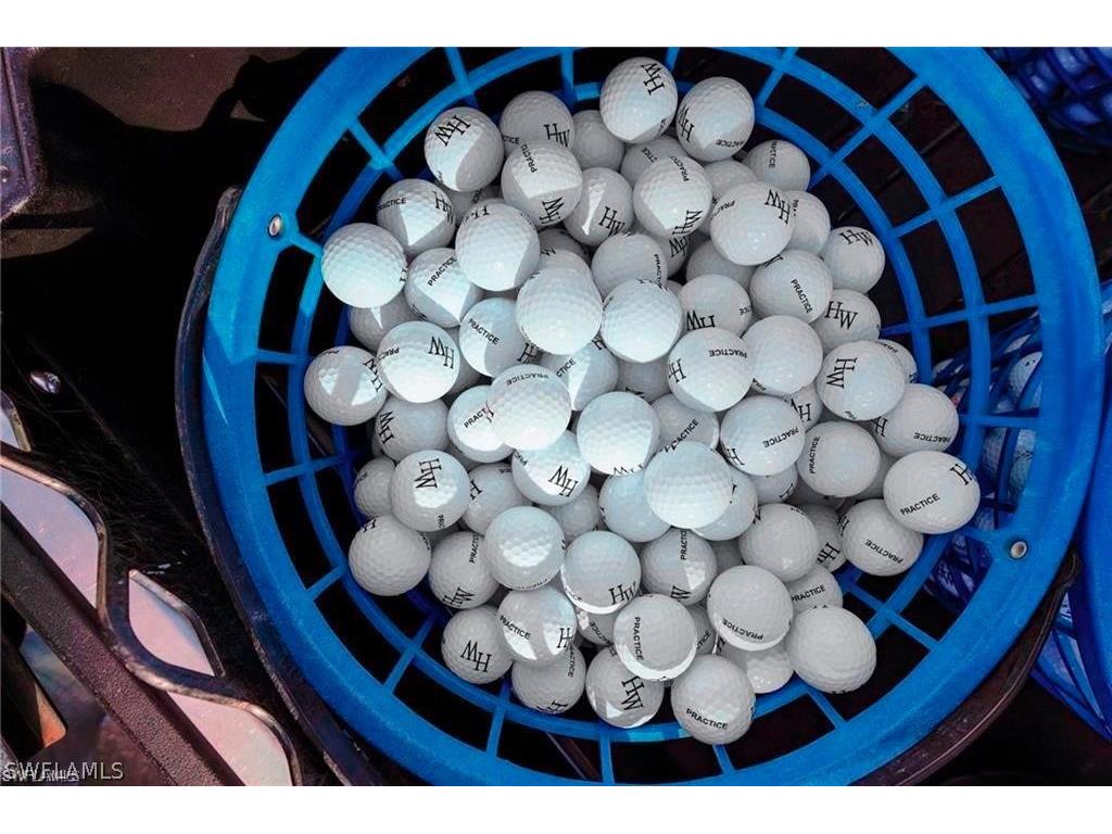 26961 Clarkston Drive #9108 Bonita Springs FL 34135 226002177 image24