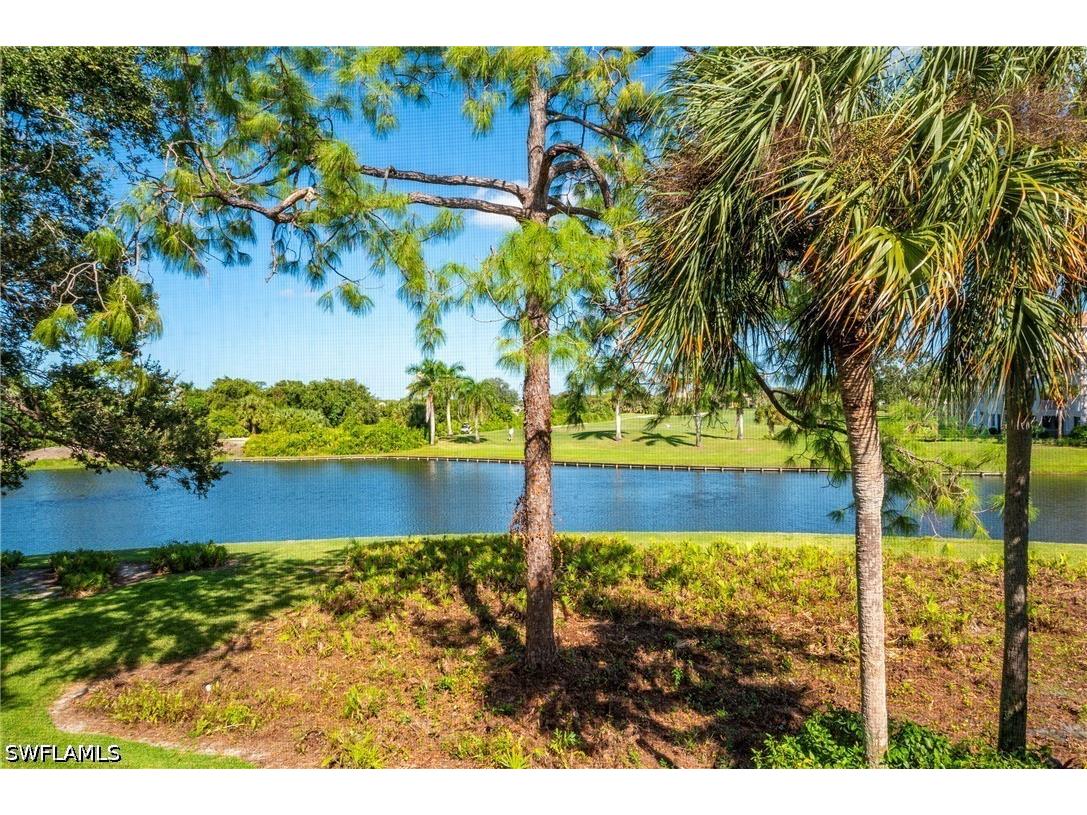 26991 Clarkston Drive #8202 Bonita Springs FL 34135 226015547 image19