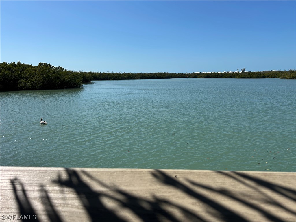 270 Naples Cove Drive #3205 Naples FL 34110 226008497 image40