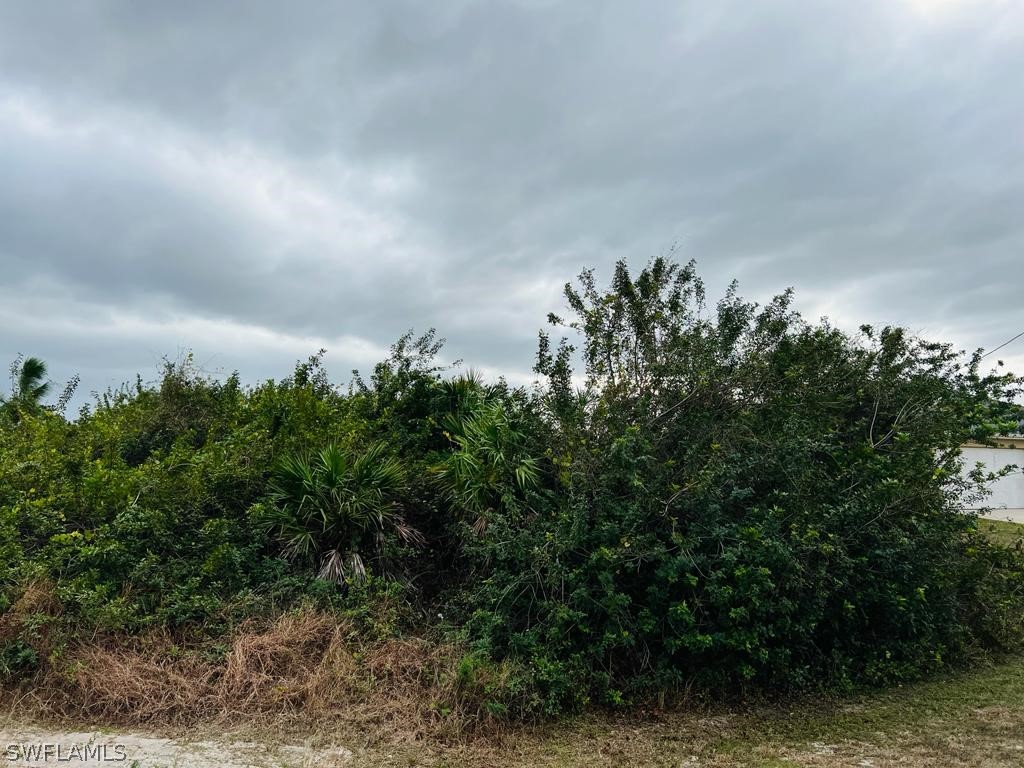 2701 32nd Street SW Lehigh Acres FL 33976 223010239 image1