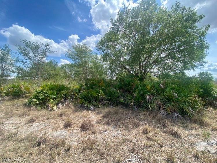 2701 67th Street W Lehigh Acres FL 33971 223025937 image1