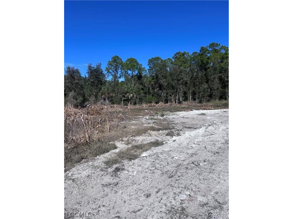 2702 26th Street W Lehigh Acres FL 33971 2026007229 image4