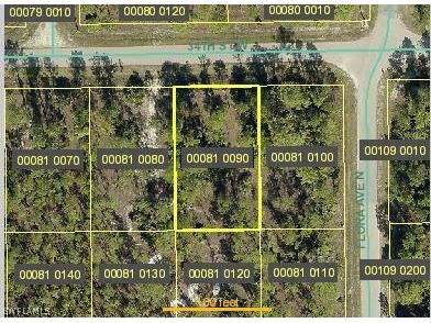 2703 34th Street W Lehigh Acres FL 33971 221042245 image1
