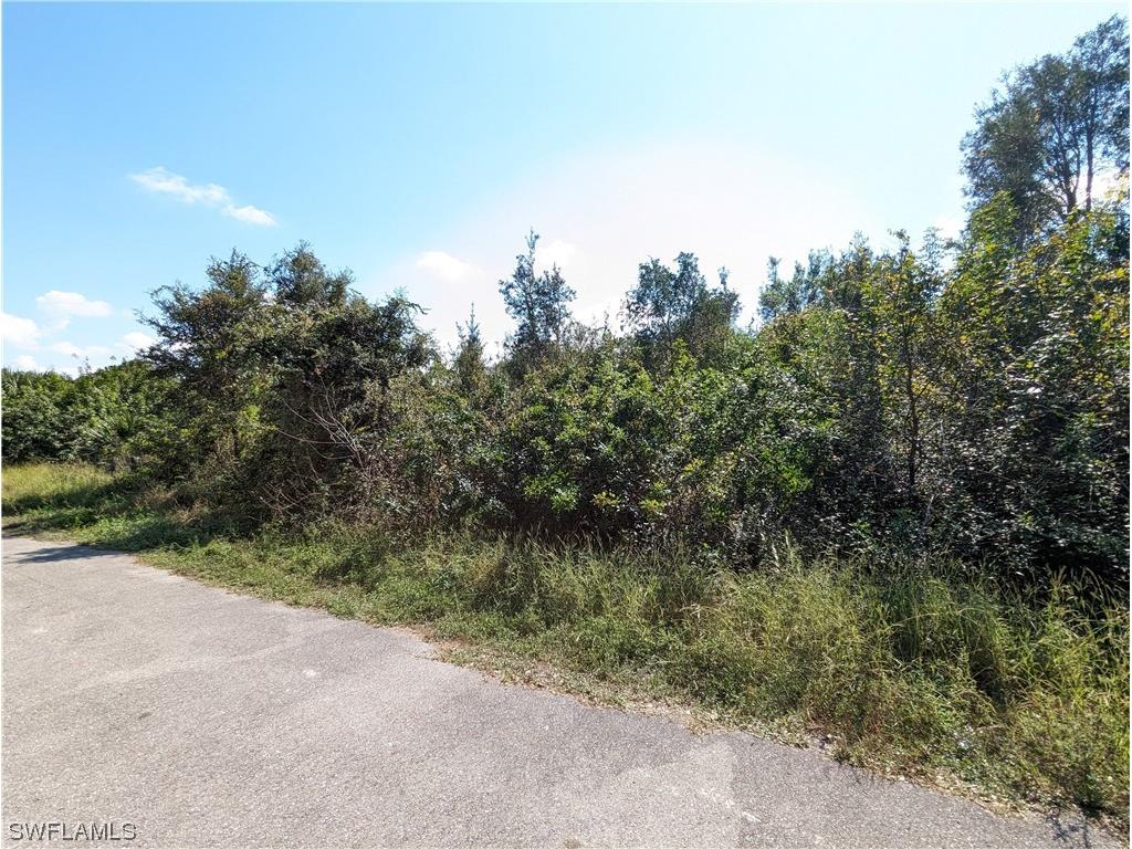 2703 35th Street SW Lehigh Acres FL 33976 223081261 image4