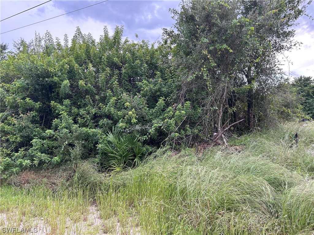 2703 4th Street SW Lehigh Acres FL 33976 223077984 image1