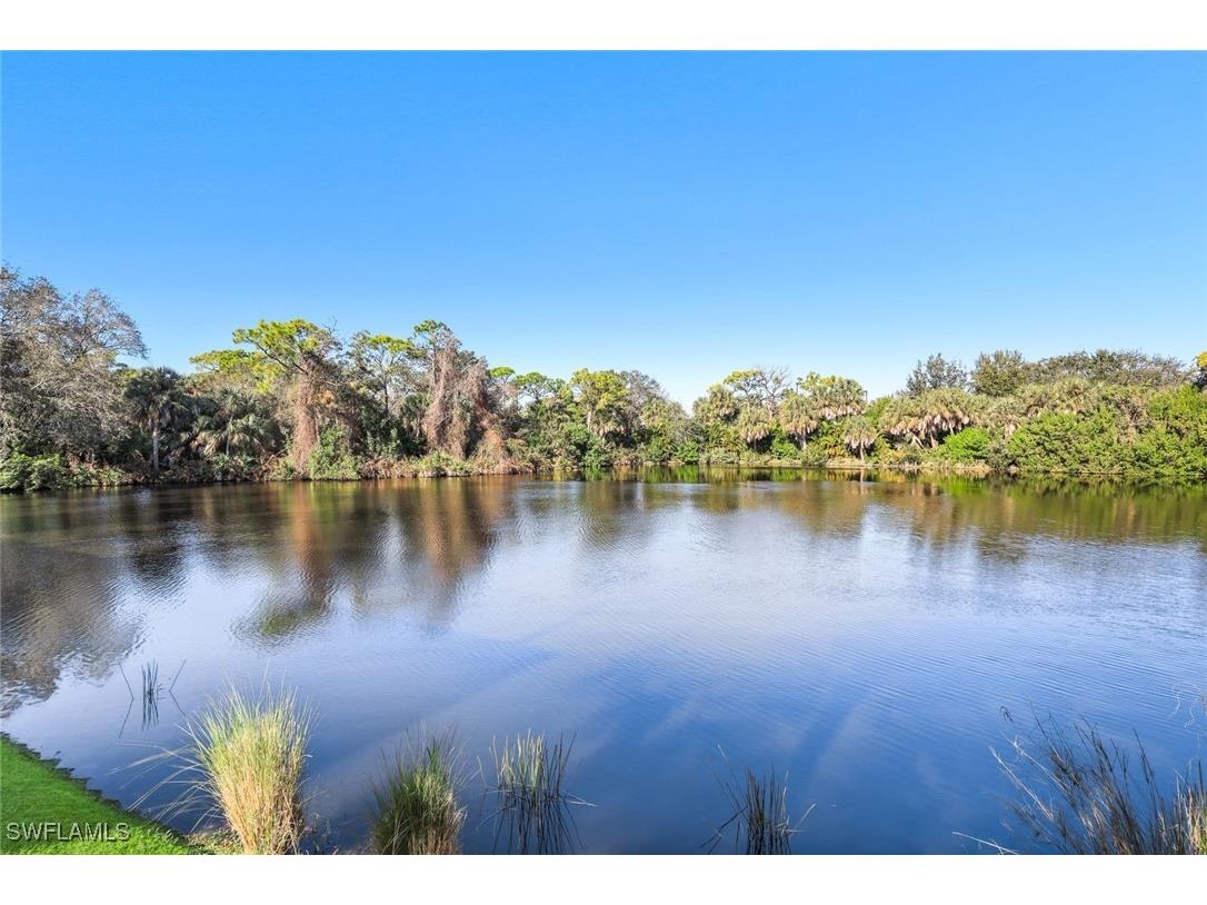 27030 Lake Harbor Court #202 Bonita Springs FL 34134 226002098 image1