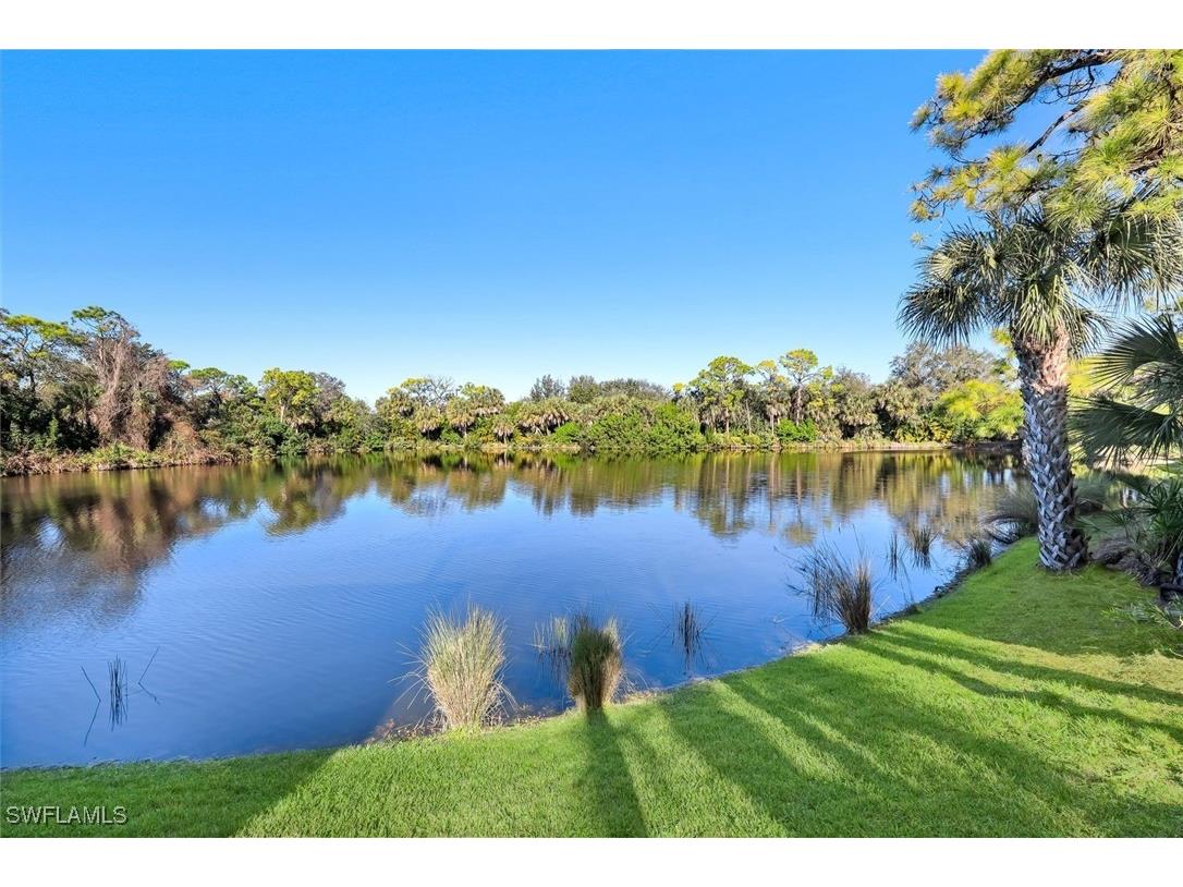 27030 Lake Harbor Court #202 Bonita Springs FL 34134 226002098 image25