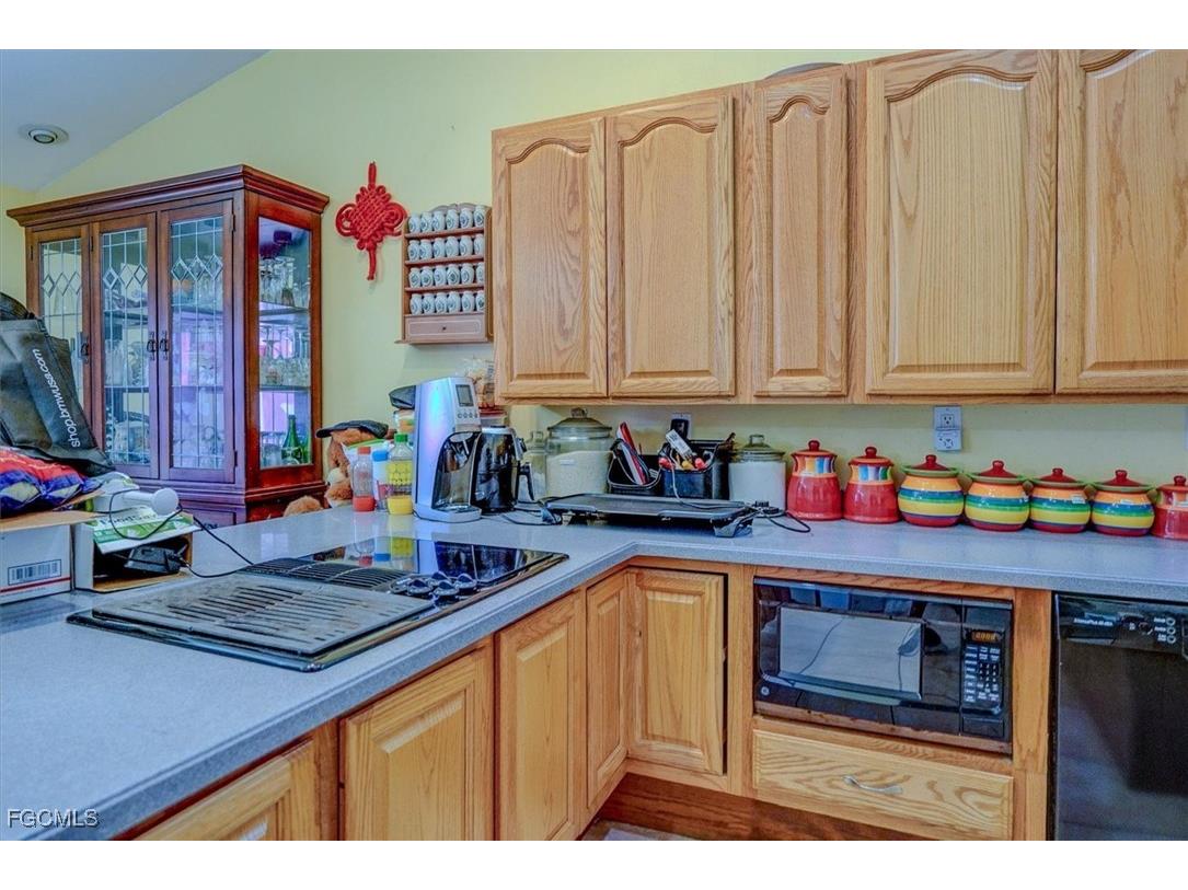 2704 SW 2nd Place Cape Coral FL 33914 2025005119 image21