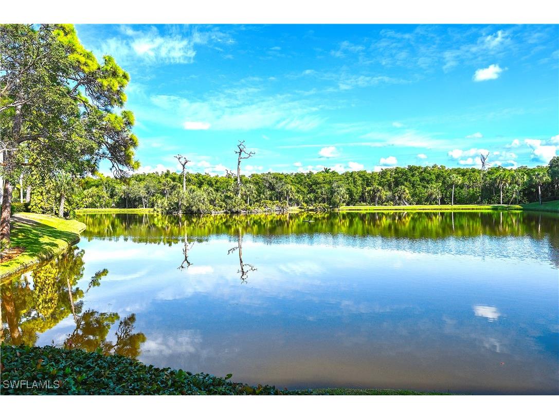 27061 Lake Harbor Court #102 Bonita Springs FL 34134 226003433 image28