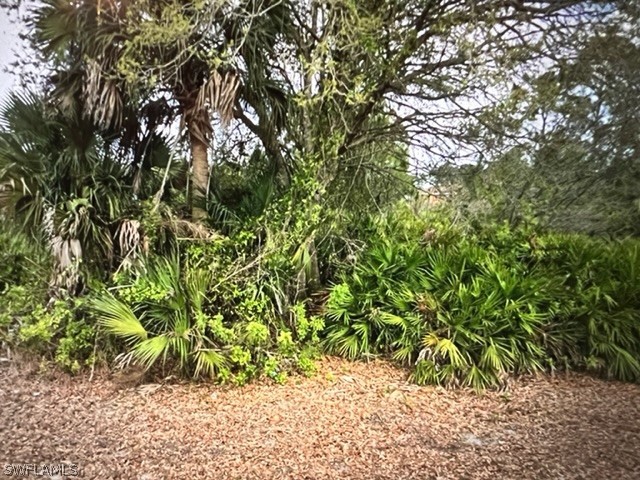 2707 6th Street SW Lehigh Acres FL 33976 222078240 image1