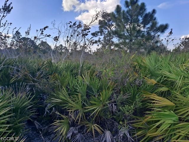 2708 38th Street W Lehigh Acres FL 33971 2026017557 image3
