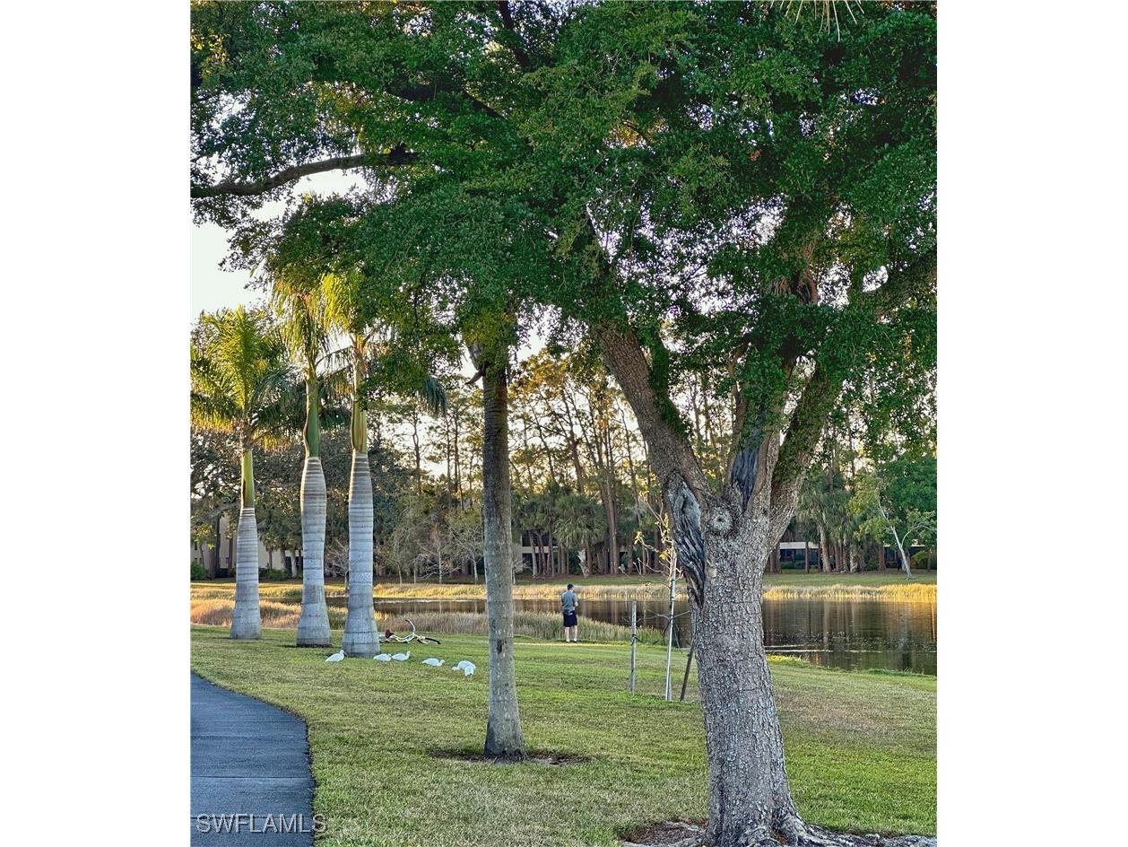 2708 Santa Cruz Boulevard Naples FL 34112 225016920 image36