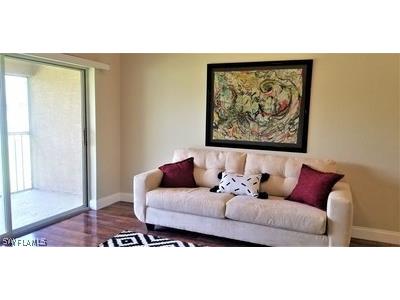 27095 Matheson Avenue #206 Bonita Springs FL 34135 226010354 image13