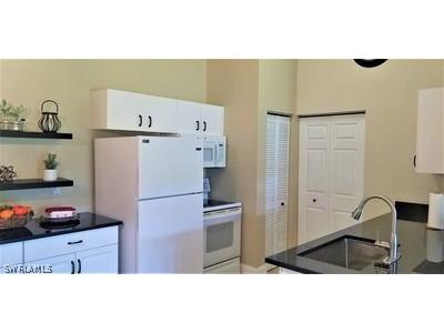 27095 Matheson Avenue #206 Bonita Springs FL 34135 226010354 image6