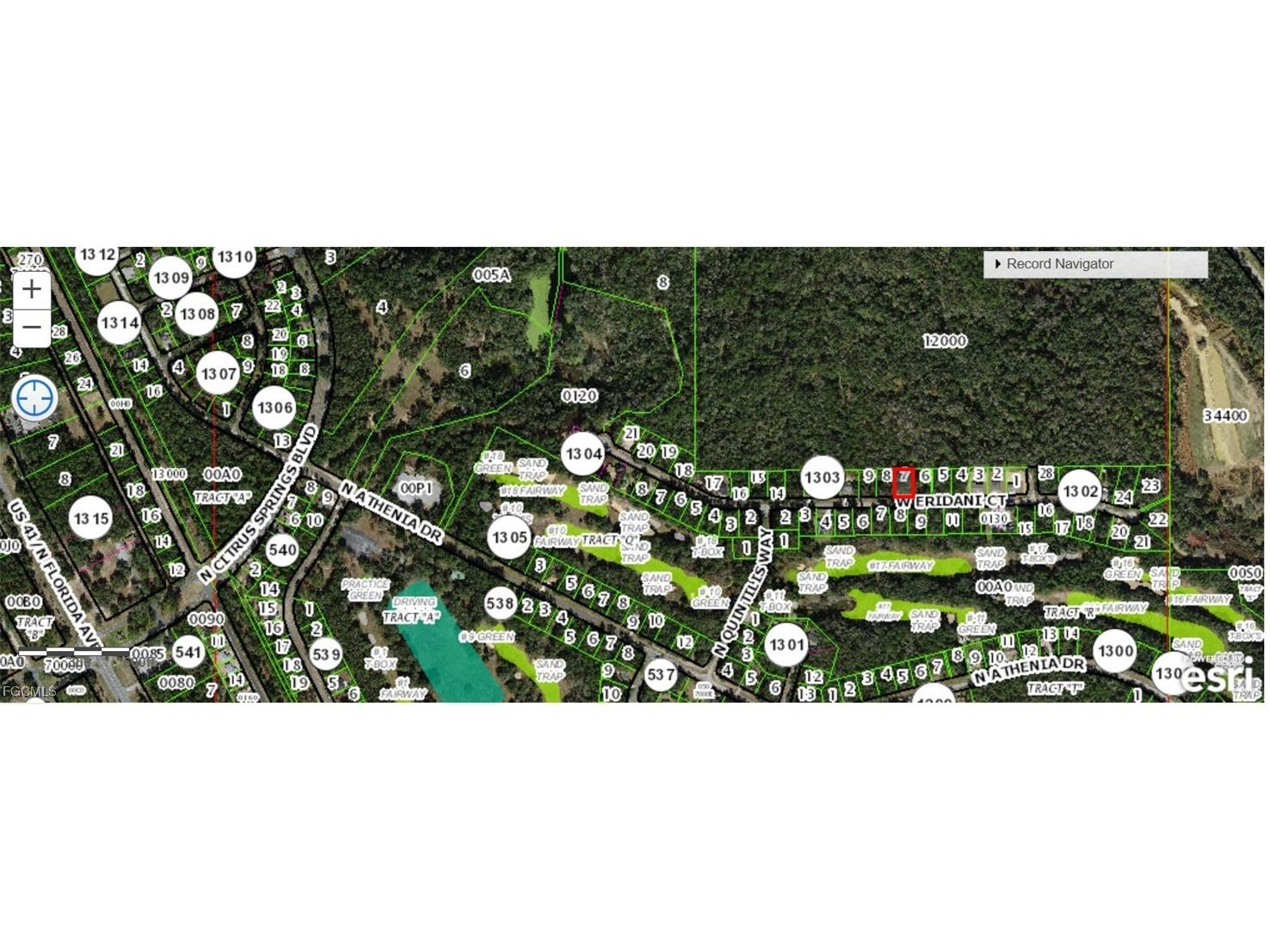 271 W Eridani Ct Citrus Springs FL 34434 2025011508 image2