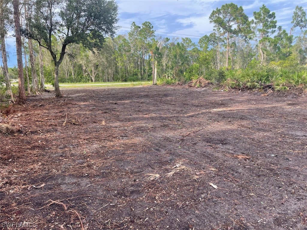 2712 Meadow Road Lehigh Acres FL 33974 223055349 image1