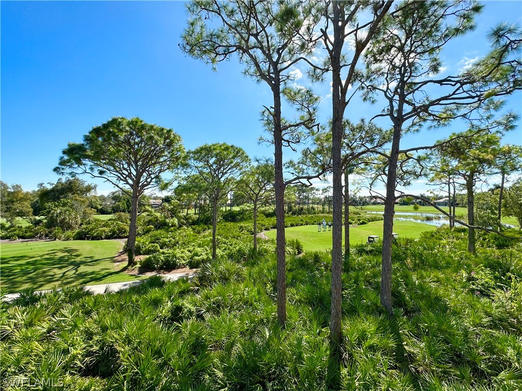 27121 Oakwood Lake Drive Bonita Springs FL 34134 226009661 image17