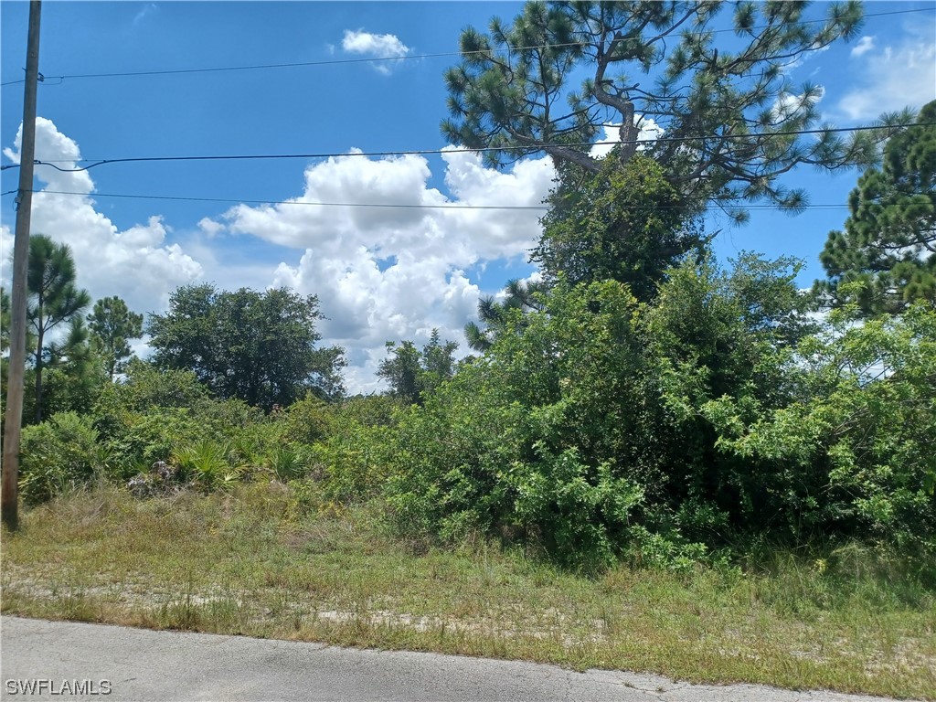 2715 9th Street SW Lehigh Acres FL 33976 224000120 image1