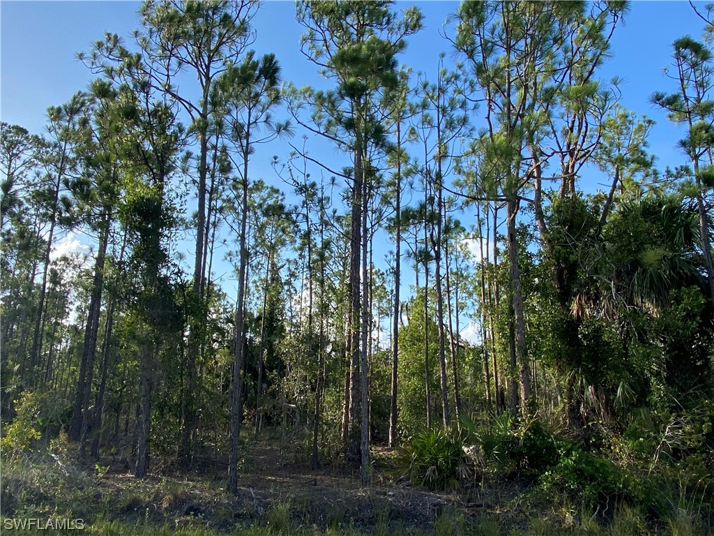 27166 Dubonet Drive Punta Gorda FL 33955 223045718 image1