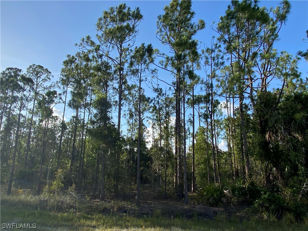 27166 Dubonet Drive Punta Gorda FL 33955 223045718 image2