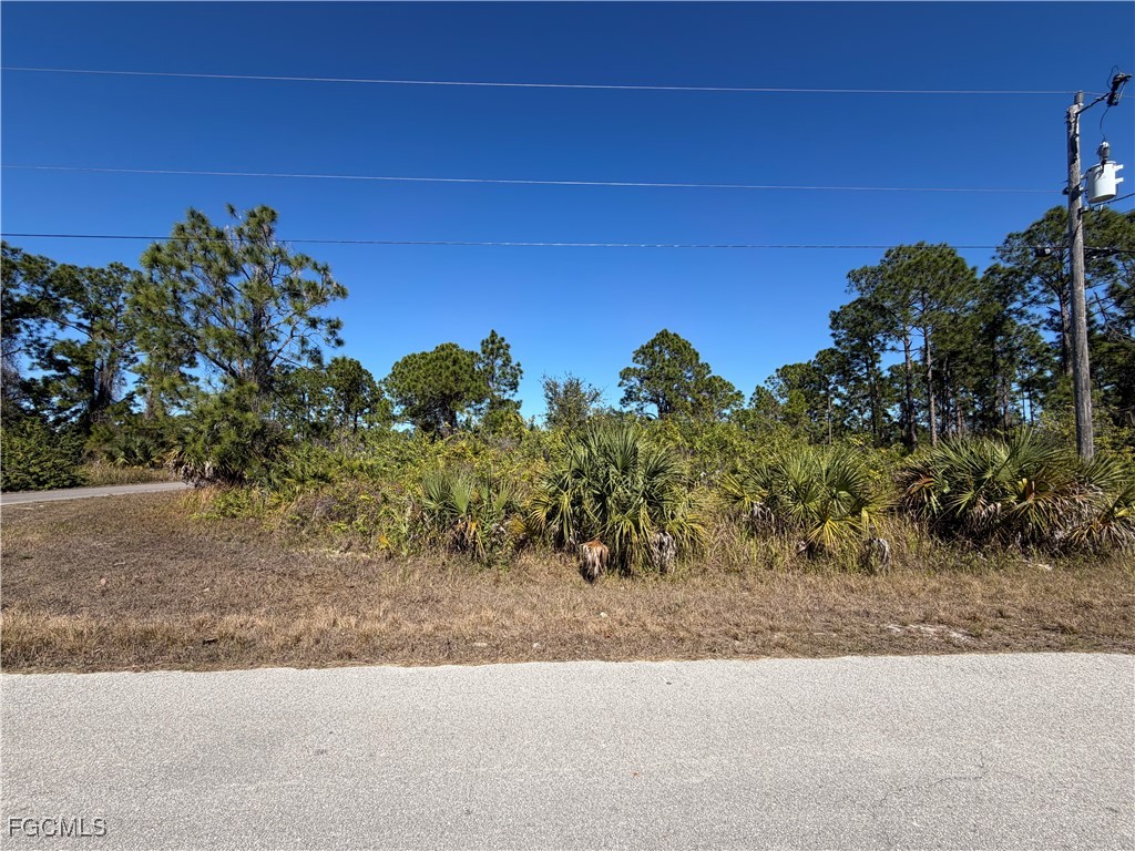 2718 17th Street W Lehigh Acres FL 33971 2026004695 image2