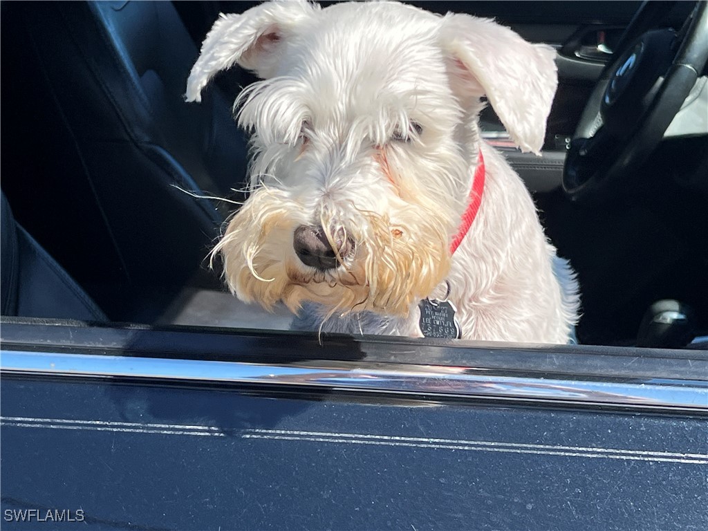 2718 NW 14th Terrace Cape Coral FL 33993 225030925 image1