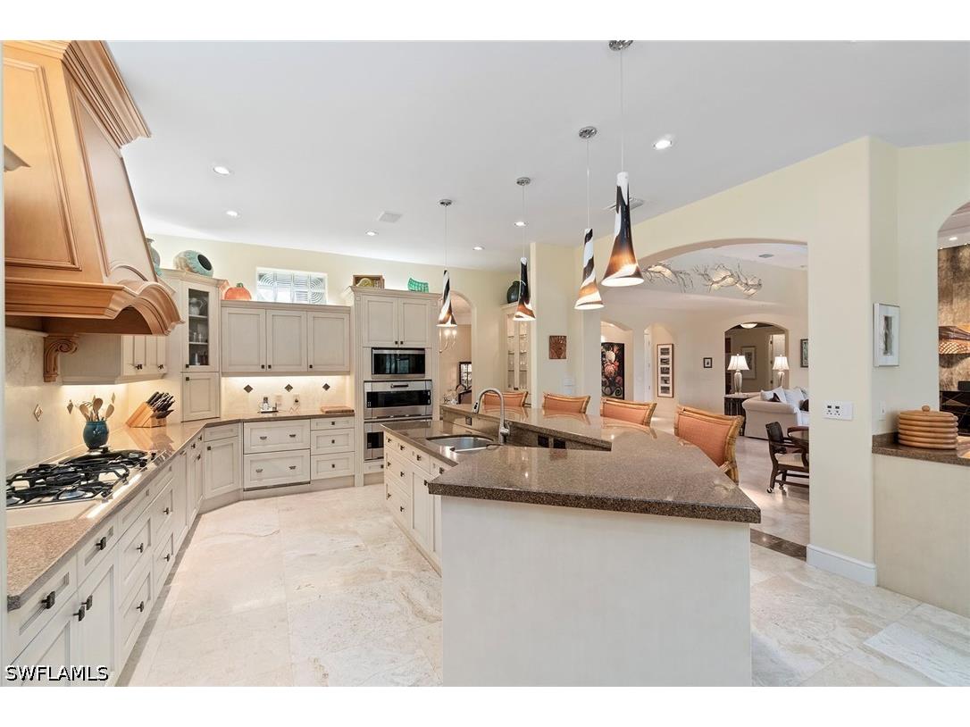 27241 Lakeway Court Bonita Springs FL 34134 226014025 image7