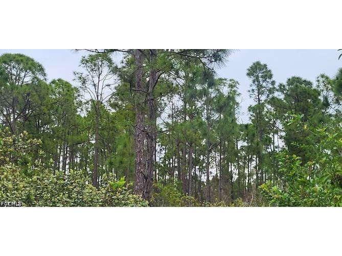 27274 Green Gulf Boulevard Punta Gorda FL 33955 2026015127 image2