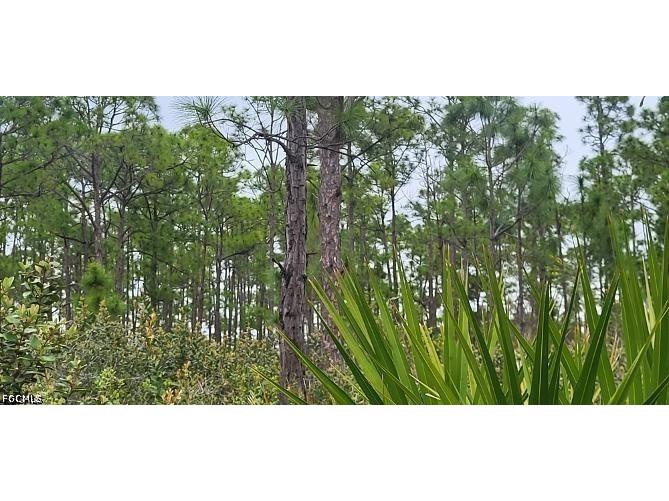 27274 Green Gulf Boulevard Punta Gorda FL 33955 2026015127 image4