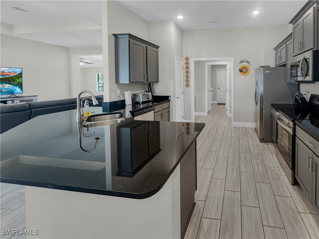 2729 NW 5th Terrace Cape Coral FL 33993 225069648 image13