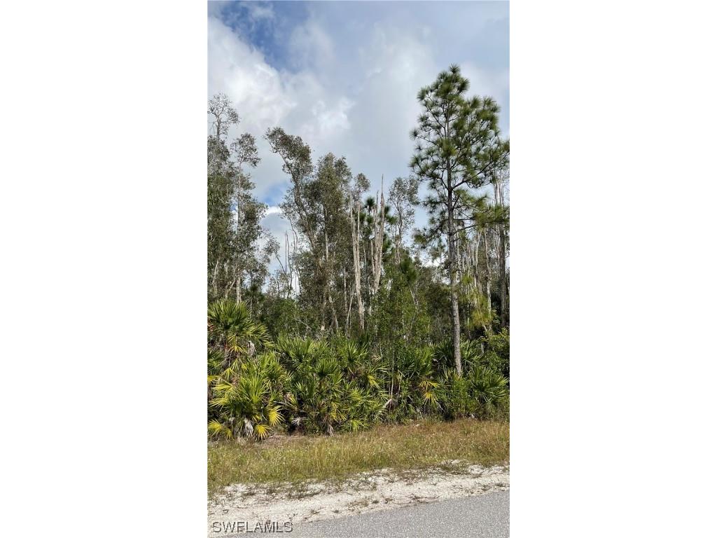 2739 Meadow Road S Lehigh Acres FL 33974 223089955 image1