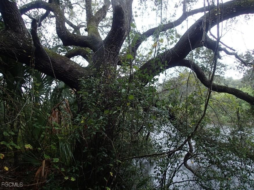 27433/27437 Neaptide Drive Punta Gorda FL 33983 2025009376 image5