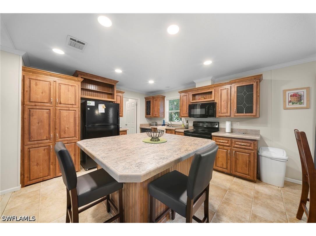 27472 Rue Viauv Avenue Bonita Springs FL 34135 226026771 image7