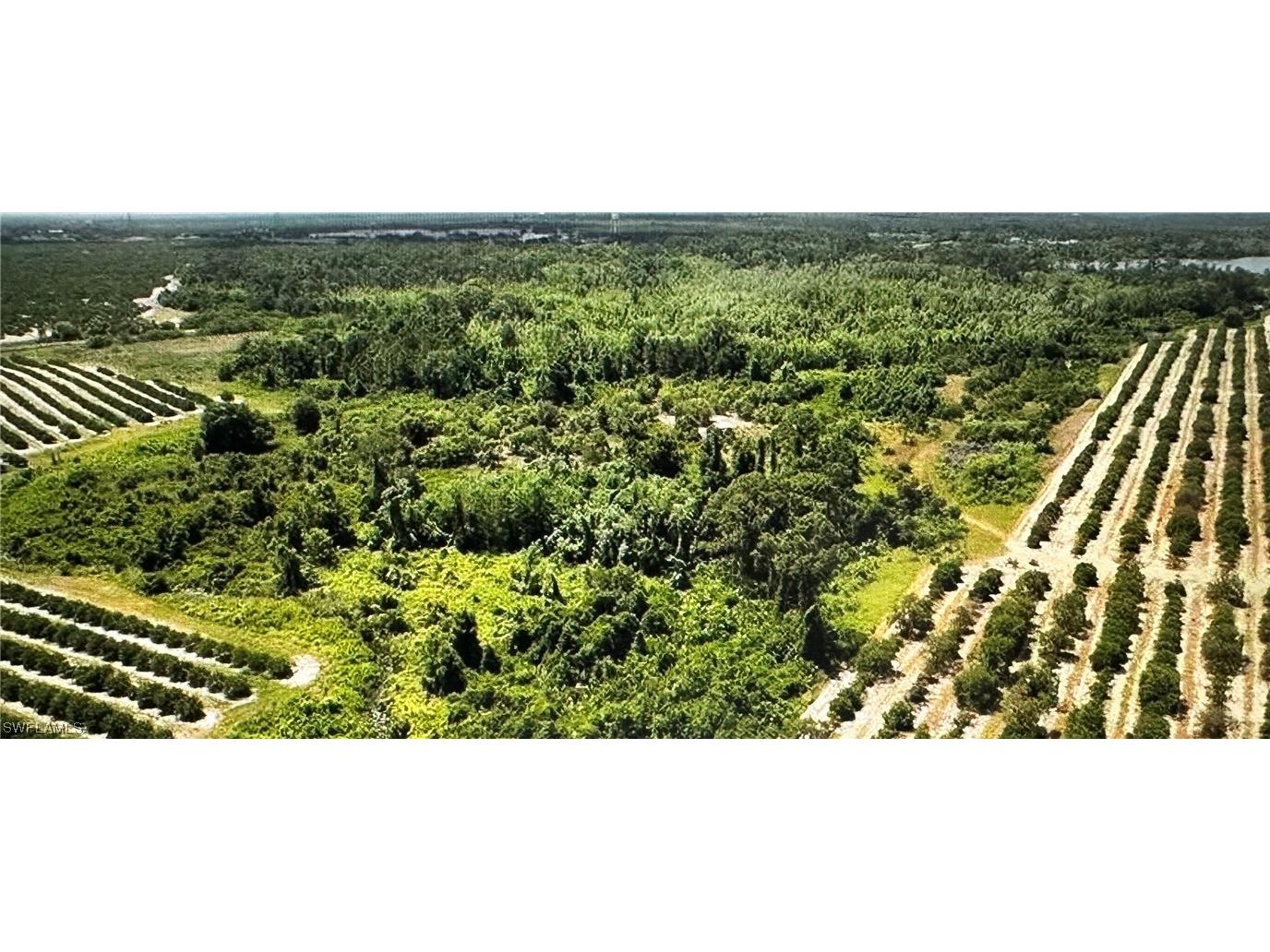275 S Bear Pointe Drive Lake Placid FL 33852 224012691 image4