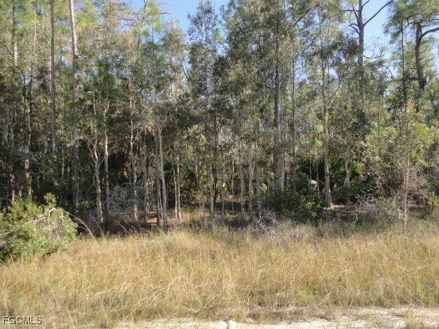  Lehigh Acres FL 33972 2025019688 image1