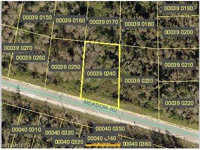 2767 Meadow Road Lehigh Acres FL 33974 221066688 image1