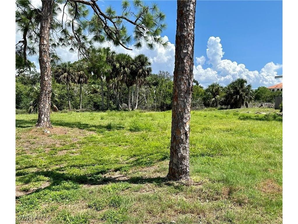 27675 Riverdale Lane Bonita Springs FL 34134 225073711 image2