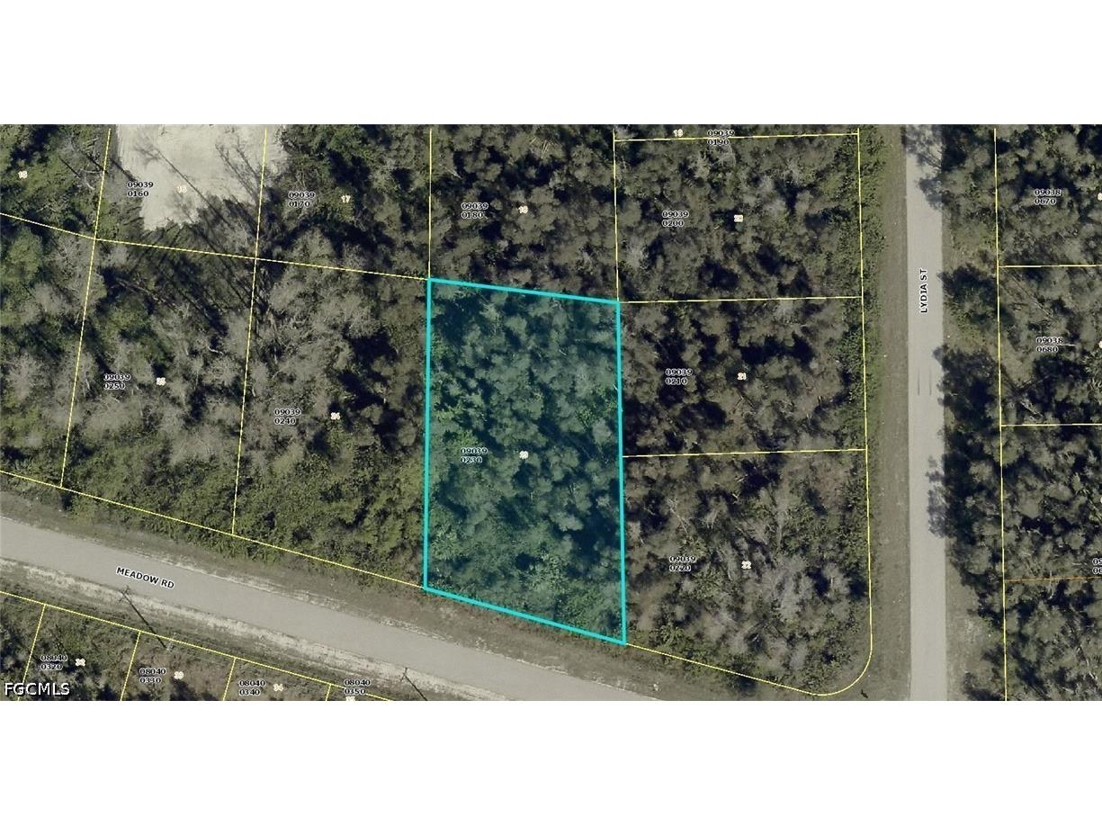 2771 Meadow Road Lehigh Acres FL 33974 2026015814 image1