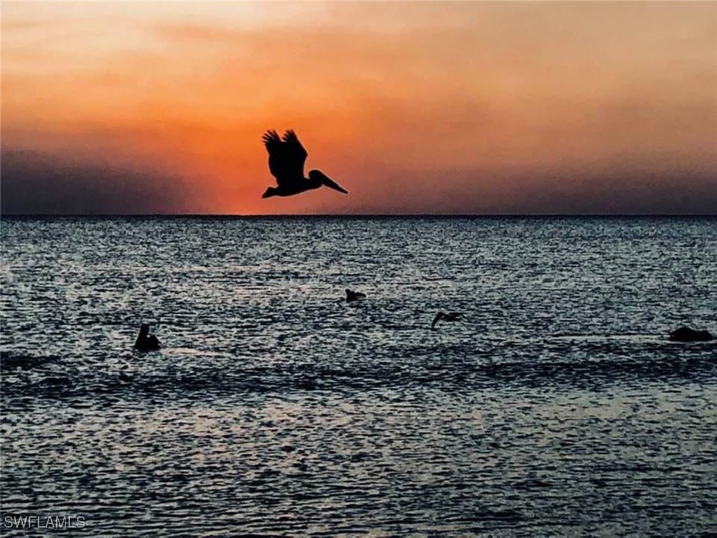 278 Bass Court Marco Island FL 34145 226003923 image46