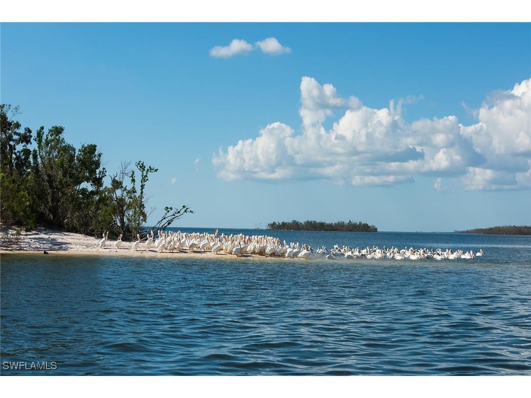 278 Newport Drive #206 Naples FL 34114 226001071 image42