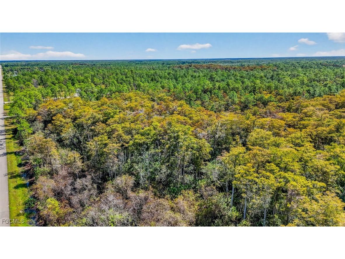 2780 52nd Avenue NE Naples FL 34120 2025016368 image17