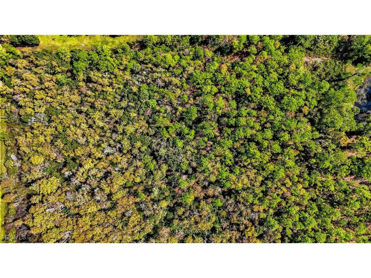 2780 52nd Avenue NE Naples FL 34120 2025016368 image18