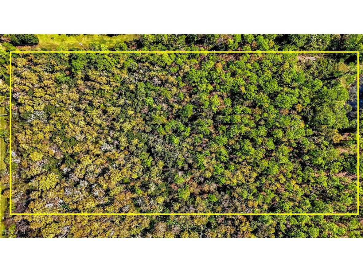 2780 52nd Avenue NE Naples FL 34120 2025016368 image19