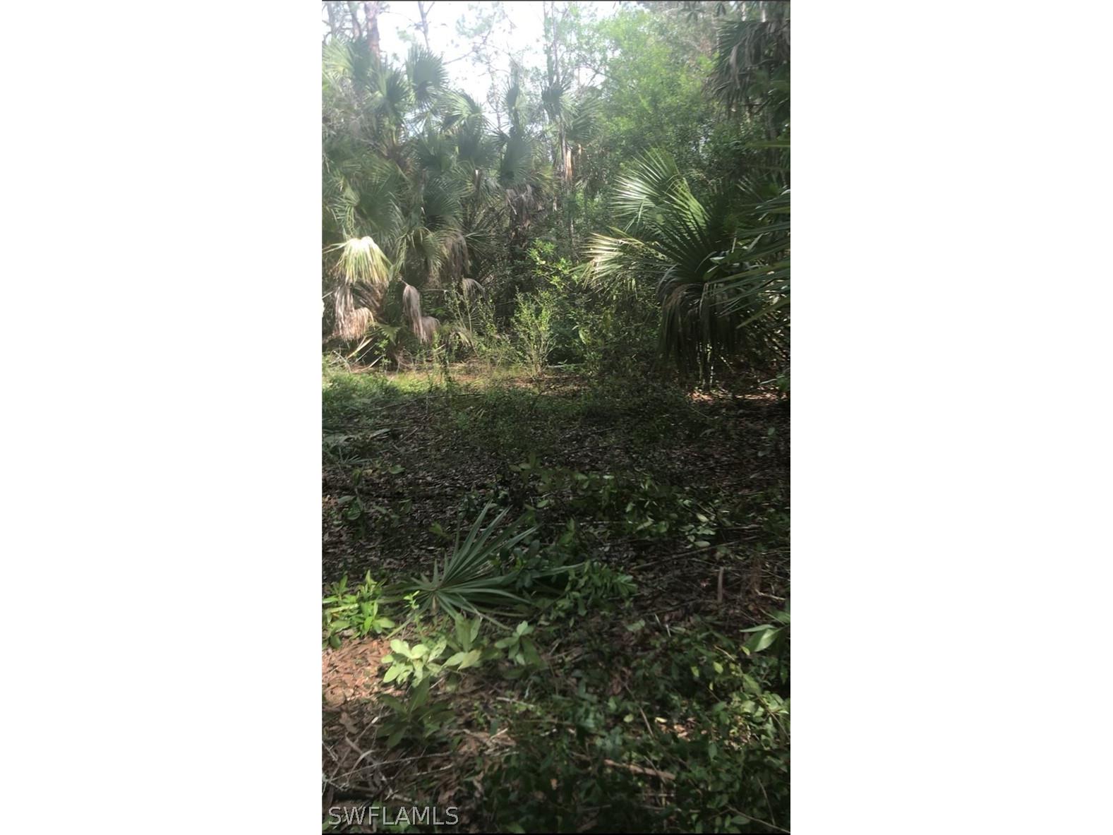 2780 66th Avenue NE Naples FL 34120 226007080 image4