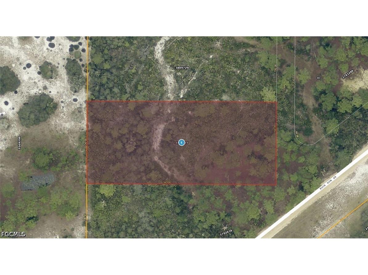28-17-28-0004-000-03100 Buck Run Drive Paisley FL 32767 2026019637 image1